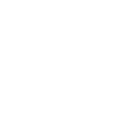 feature-item-1