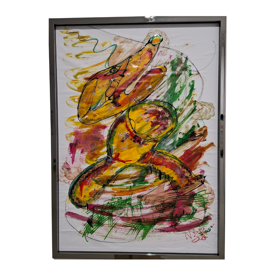 Colordancer Color by Naz